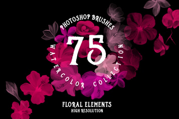 75 Photoshop Brushes Watercolor Collection