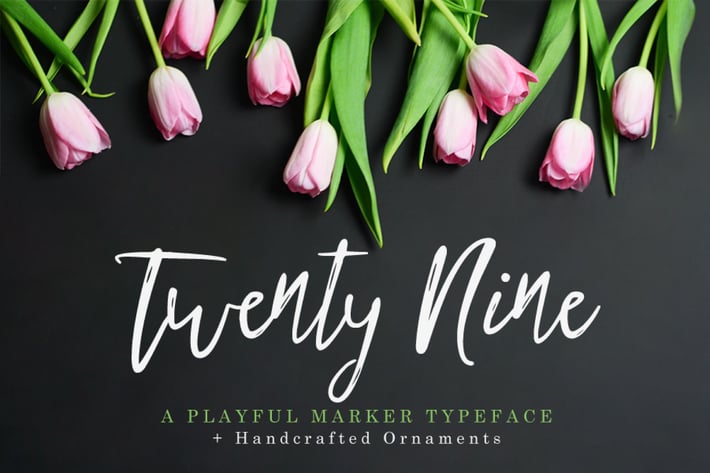 Twenty Nine Font