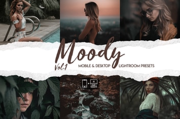 Moody Vol. 1 - 15 Premium Lightroom Presets