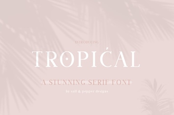 Tropical Serif Font