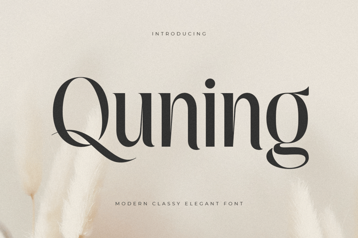 Quning - Modern Classy Elegant Font