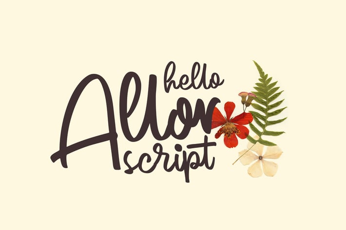 Allor Script