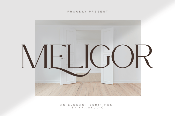 Modern Elegant Serif Font