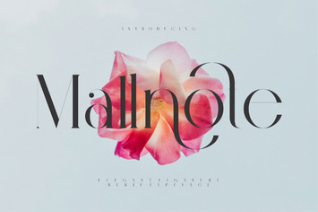 Mallnote Elegant Ligature Serif Typeface