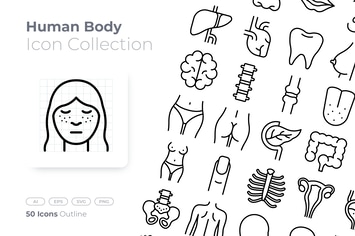 Human Body Outline Icon