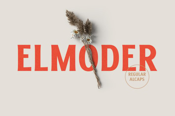 ELMODER REGULAR