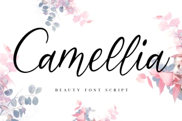 Camellia Beauty Script Font