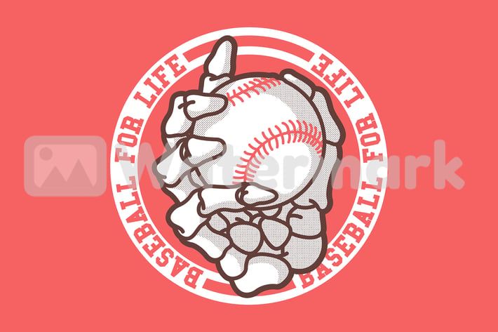 Baseball for Life