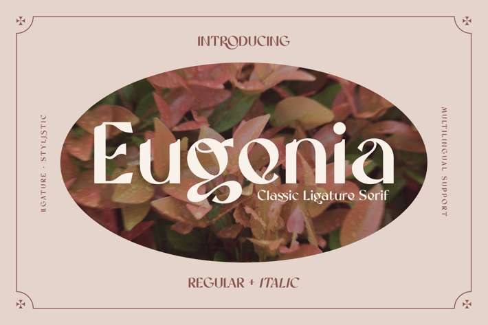 Vintage Sans Serif Font