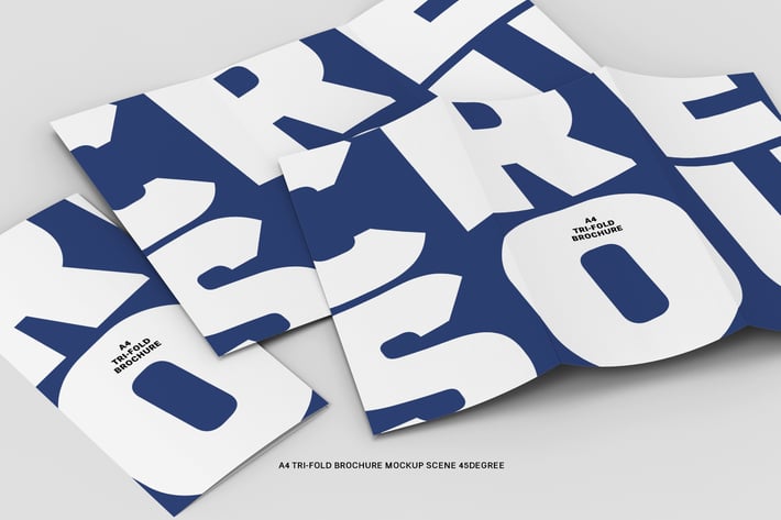 45 Degree A4 Tri-fold Brochure (Scene)