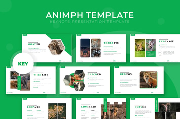 Animph - Keynote Template
