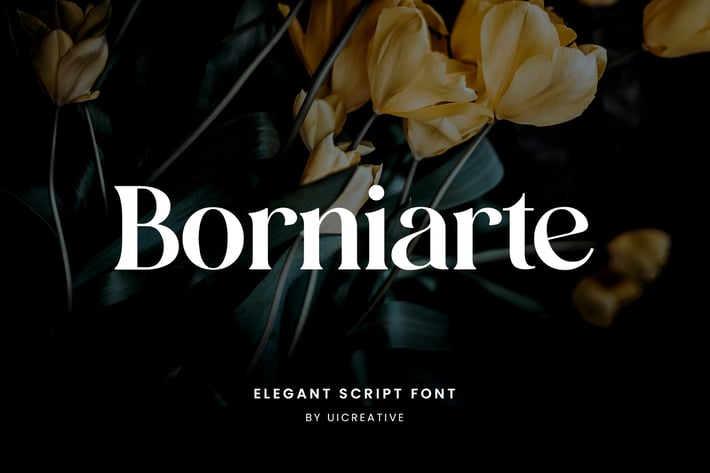 Borniarte Elegant Serif Font