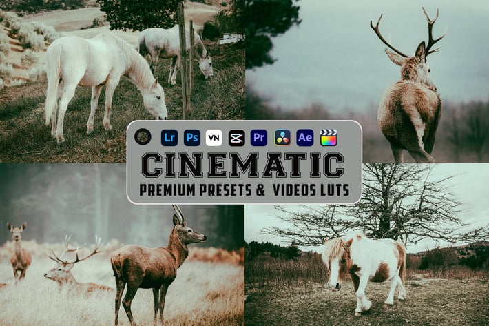 HDR Cinematic Luts Videos & Presets Mobile Desktop
