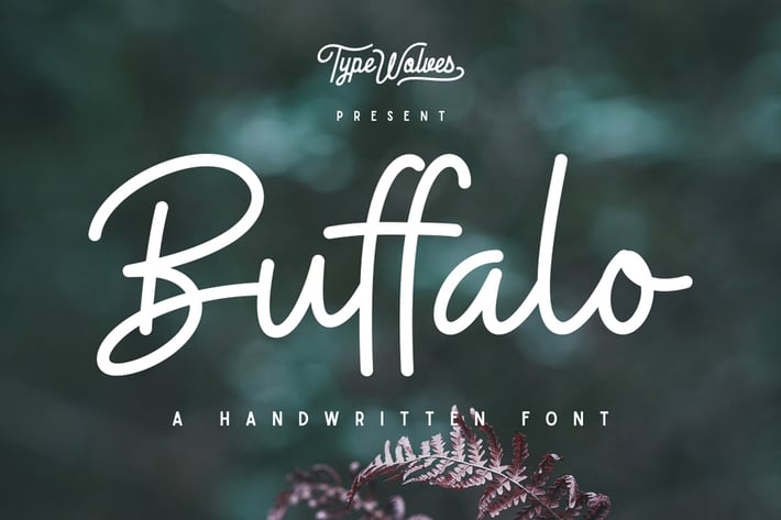 Buffalo