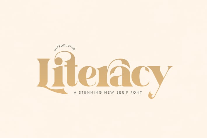 Literacy Serif Font