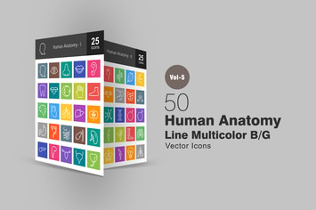 50 Human Anatomy Line Multicolor Icons