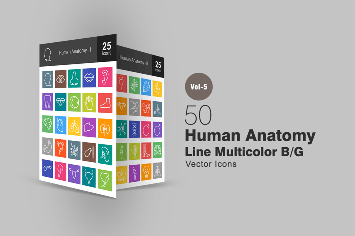 50 Human Anatomy Line Multicolor Icons