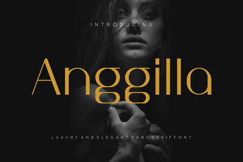 Anggilla - Luxury And Elegant Sans Serif Font