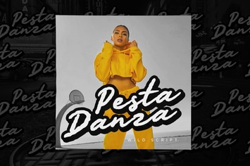 Pesta Danza - Wild Expressive Font