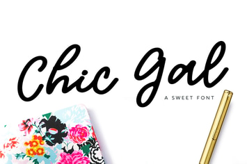 Chic Gal Modern Script Font