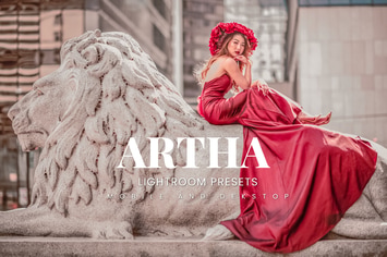 Artha Lightroom Presets Dekstop and Mobile
