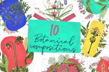 10 Botanical Compositions