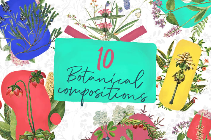 10 Botanical Compositions