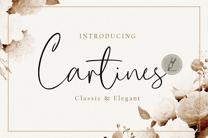 Cartines Signatures