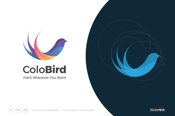 Colorful Flat Bird Abstract Shape Logo Template