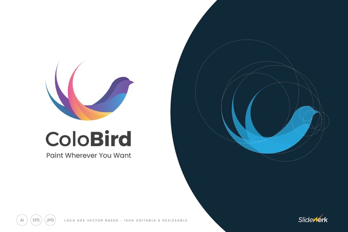 Colorful Flat Bird Abstract Shape Logo Template