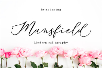 Mansfield Script
