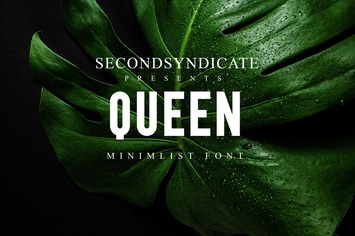 Queen - Minimalist Font