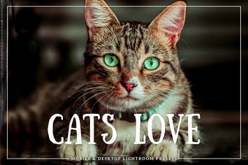 Cats Love Mobile & Desktop Lightroom Presets