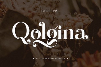 Qolgina Elegant Serif Typeface