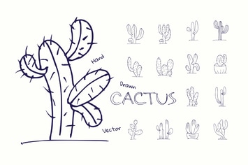 Cactus - Hand Drawn Vector