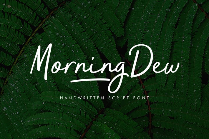 MorningDew