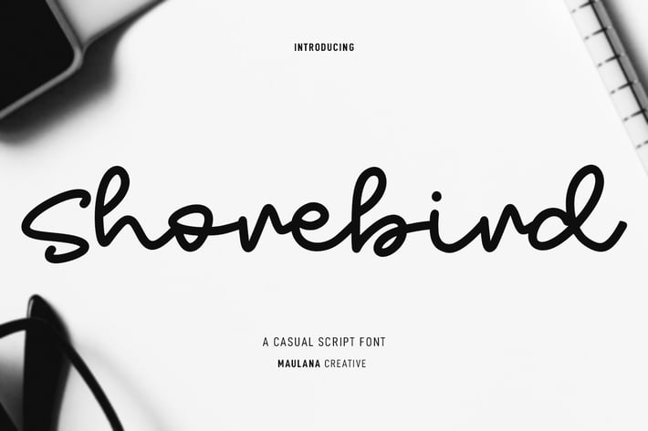 Shorebird Script Font