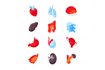 Human Internal Organs - Isometric Icons Set