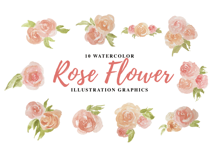 10 Watercolor Rose Flower Illustration Graphics