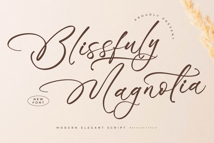 Blissfuly Magnotia Modern Elegant Serif Font