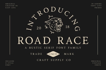 Road Race Font Family
