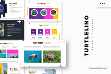Turtlelino - Keynote Template