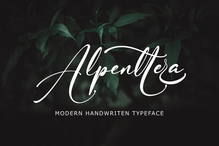 Alpenttera