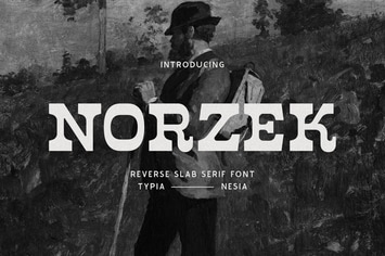 Norzek - Retro Vintage Reverse Slab Serif Font