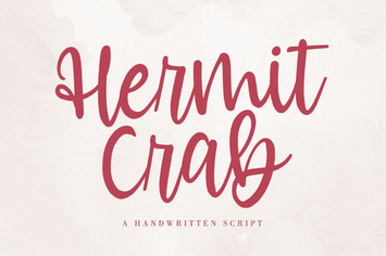 Hermit Crab