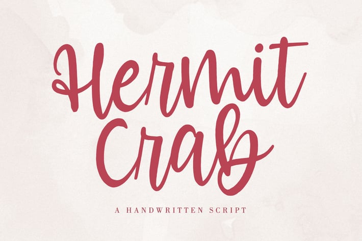Hermit Crab