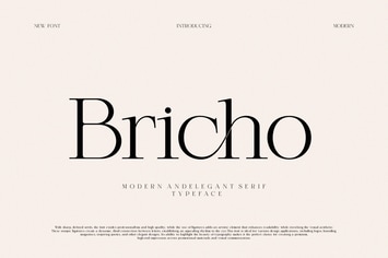 Bricho Modern And Elegant Serif