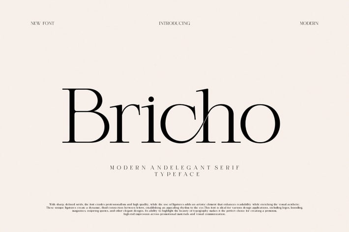 Bricho Modern And Elegant Serif