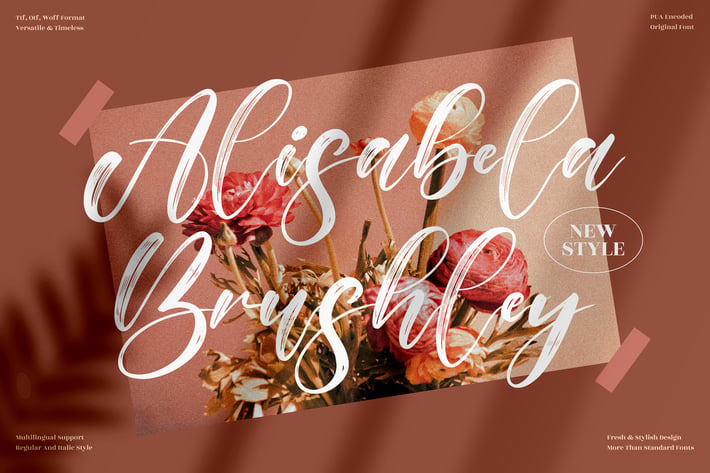 Alisabela Brushley Brush Script Font