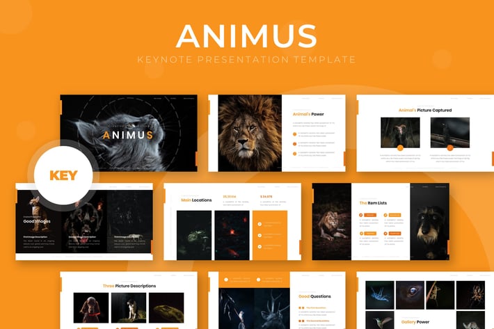 Animus - Keynote Template